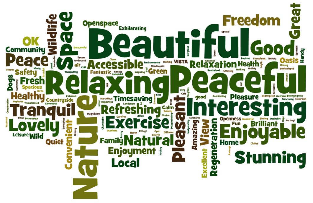  www.wordle.net