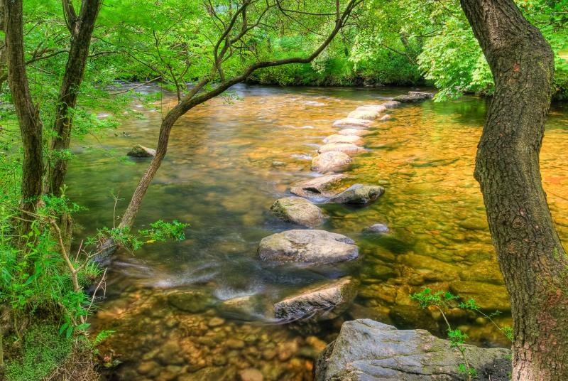 Stepping stones across a river - (c) NERC