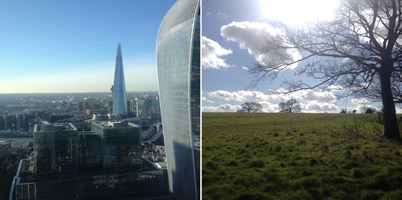 The Valuing Nature Business Impact School’s contrasting venues: the heart of London’s business district (the view from Willis Towers Watson building) and Windsor Great Park. Photo @Prue Addison