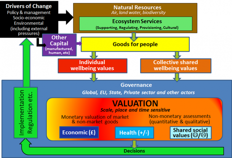 VNN1 conceptual model